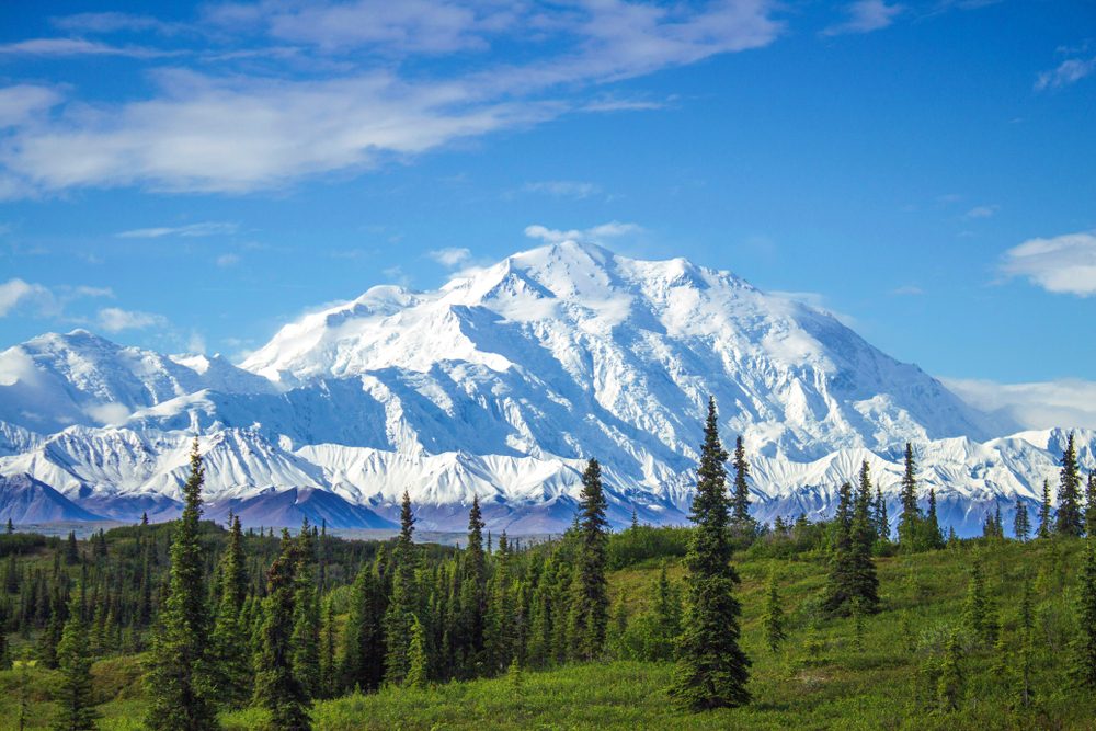 Denali National Park (Official GANP Park Page)